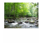 River at Backbone Rock T-shirt