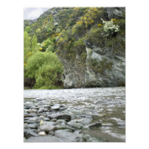 River Bank Art Photo