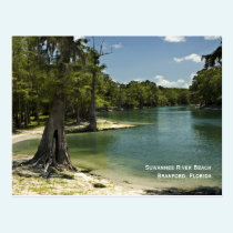River Beach Postcard postcards