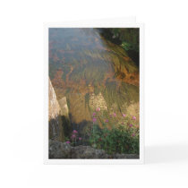River Bed Cards