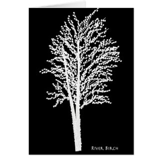 River Birch Tree in Abstract card