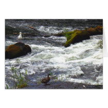 River Birds Greeting Card