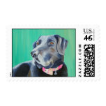 River Dog - Black Labrador Postage Stamps