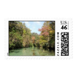 River fall foliage stamp stamps