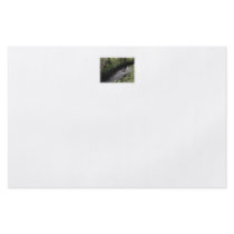 River flowing through woodland. full color flyer