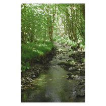 River flowing through woodland. flyers
