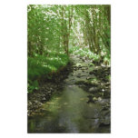 River flowing through woodland. flyers