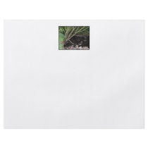 River flowing through woodland. personalized flyer