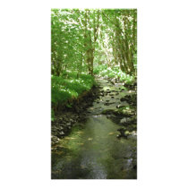 River flowing through woodland. picture card