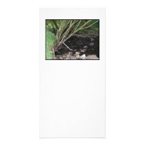 River flowing through woodland. photo greeting card