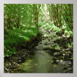 River flowing through woodland. posters
