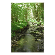 River flowing through woodland. stationery design