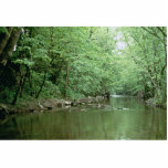 River Habitat, Kentucky