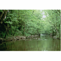 River Habitat, Kentucky photo sculptures