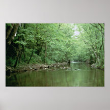 River Habitat, Kentucky Poster