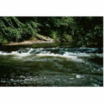 River Habitat