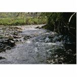River Habitat