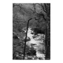 River in Devon posters by menekse River in Devon posters