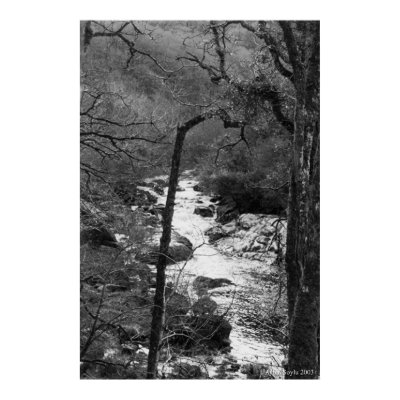 River in Devon Print by menekse