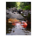 River Leaves posters by TaylorE River Leaves posters