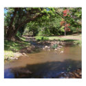 River of Serenity posters