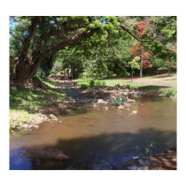 River of Serenity posters by tallone River of Serenity posters