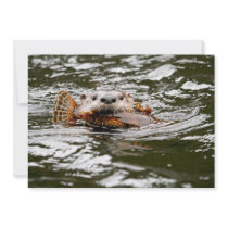 River Otter and Fish Custom Announcement