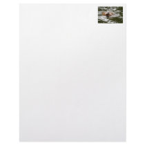 River Otter and Fish Personalized Letterhead