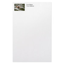 River Otter and Fish Personalized Stationery