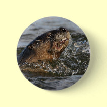 river otter buttons