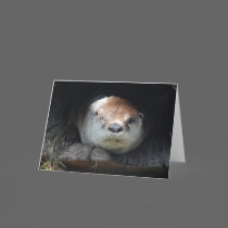 River Otter Greeting Card cards