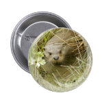River Otter Habitat Button