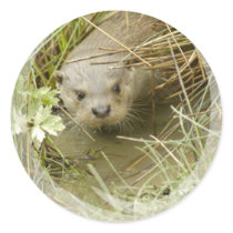 River Otter Habitat Stickers