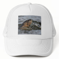 river otter hats by WorldDesign river otter hats