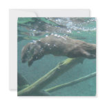 River Otter Invitations
