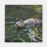 River Otter Magnets