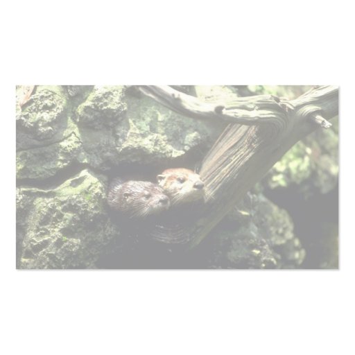 River Otter peering out of rocky den Business Cards (back side)