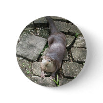 River Otter Poses buttons by naturegirl7 River Otter Poses buttons