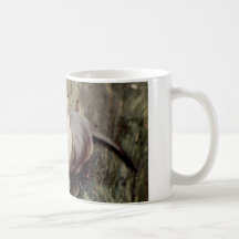 River Otter Posing Mug