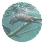 River Otter  Sticker