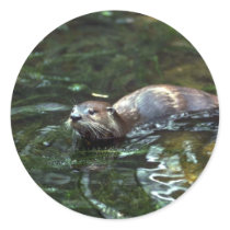 River Otter Stickers