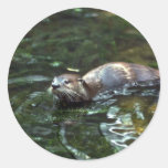 River Otter Stickers