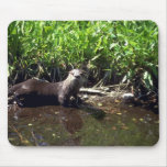 River Otter-summer Mousepads