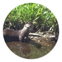 River Otter-summer Sticker