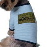 River Otters Pet Clothes