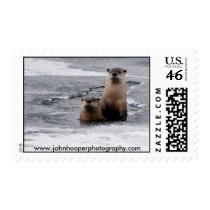 River Otters postage by jchooper12 River Otters postage