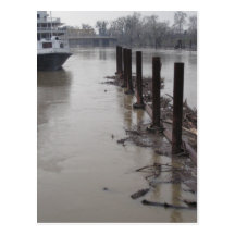 River Pilings Postcard