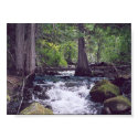 RIVER posters by cruisn RIVER posters