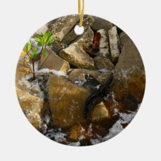 River Rocks Cement Blocks and Mangrove Seedling Christmas Ornament