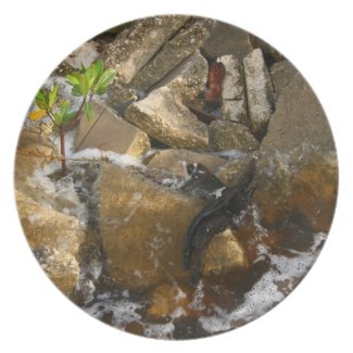 River Rocks Cement Blocks and Mangrove Seedling plate